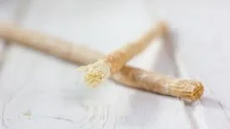 Alat Pembersih Gigi Tradisional yang Efektif dan Alami