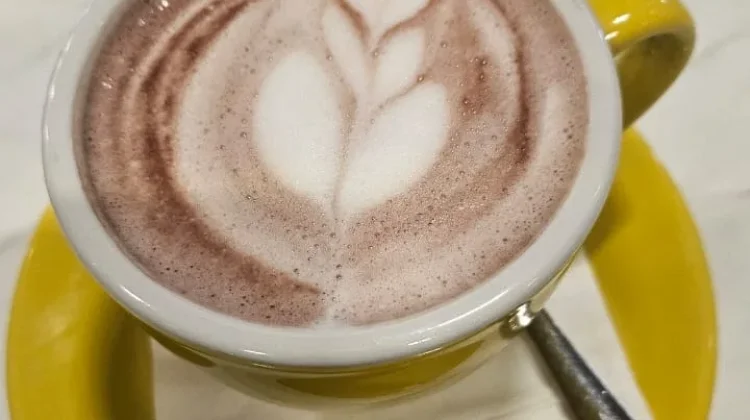 Manfaat Secangkir Cokelat Hangat untuk Kesehatan dan Suasana Hati