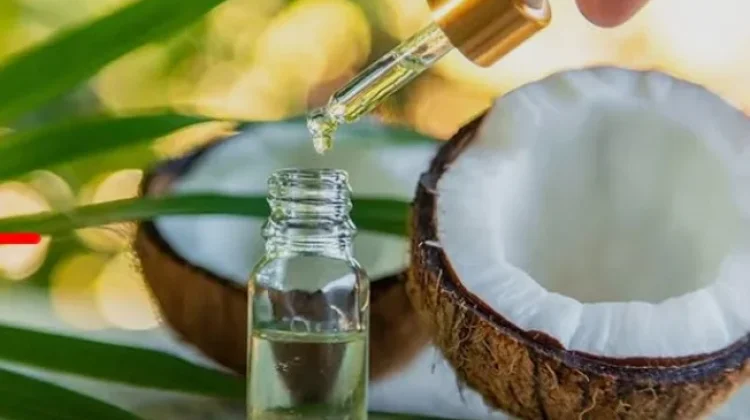 Minyak Kelapa sebagai Herbal Serbaguna untuk Hidup Lebih Sehat