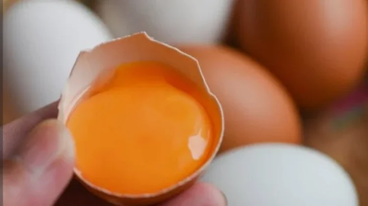 Manfaat Telur Omega bagi Kesehatan