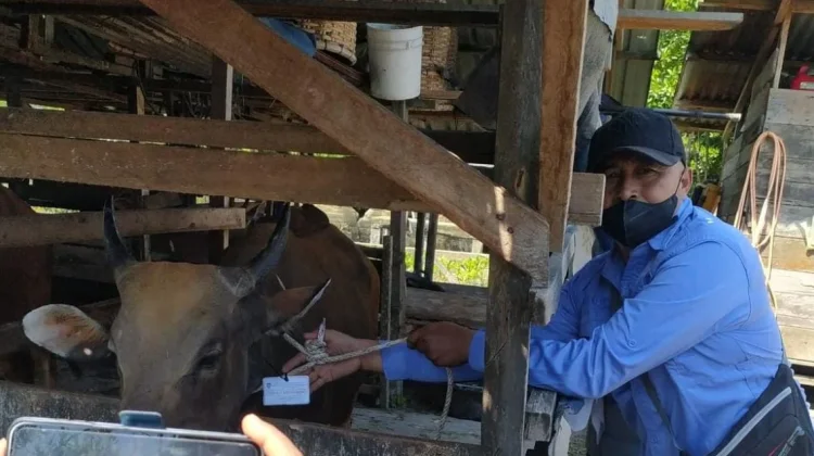 DTPHP Bengkalis Sosialisasi Kurban tanpa Plastik