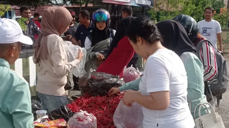 Cabai Lokal Bengkalis Laris Manis, Bukti Potensi Pangan Desa Menjanjikan