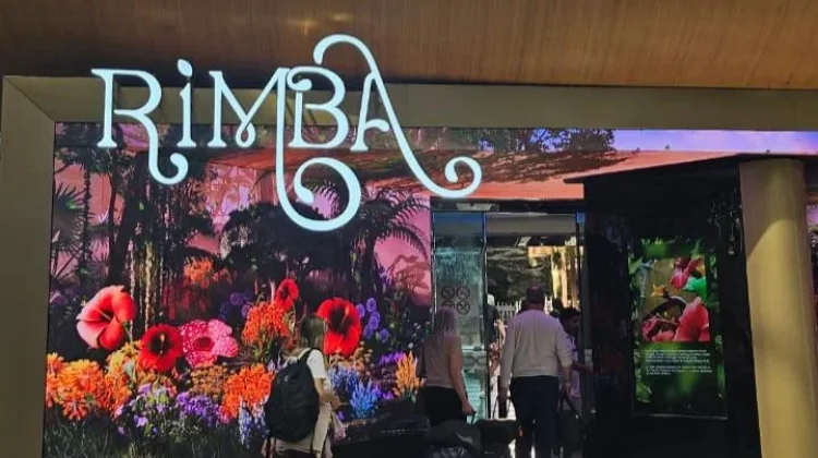 Rimba di Bandara Malaysia, Pesona Alam yang Memikat Wisatawan