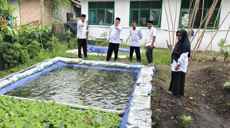 UA Koto Gasib Kembangkan Kolam Patin dan Kebun Cabai, Wujud Eko-Teologi Nyata