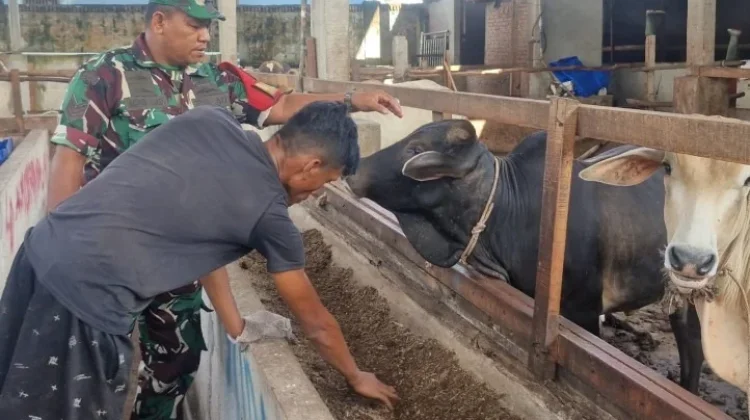 Serma Agusliadi Pantau PMK Ternak di Gajah Sakti