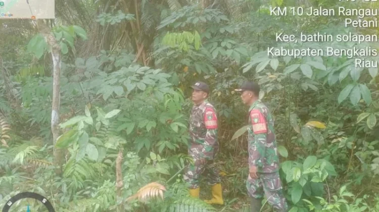 Babinsa Koramil 03/Mandau Gencar Patroli Cegah Karhutla sejak Dini