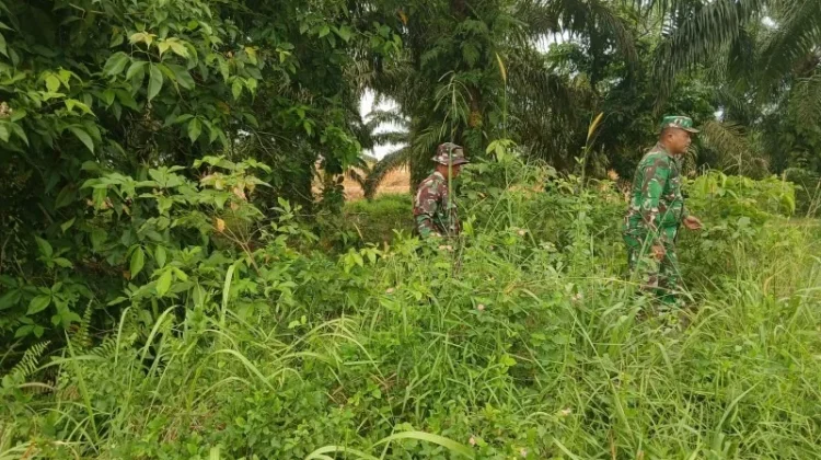 Patroli Rutin Babainsa 03/Mandau Cegah Karhutla sejak Dini