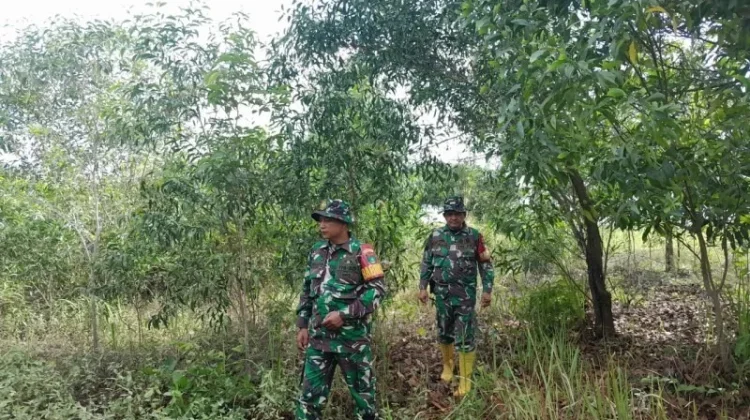 Babinsa Koramil 03/Mandau Patroli Pencegahan Karhutla Wilayah Rawan
