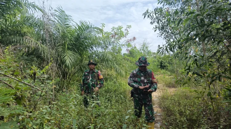 Babinsa Mandau Intensif Patroli Cegah Karhutla di Batin Solapan