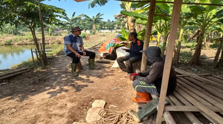 Polisi Turun ke Ladang, Jagung 1,1 Hektare di Dumai Tumbuh Subur