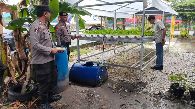 Polsek Kawasan Pelabuhan Dumai Kelola Hidroponik Pakcoy
