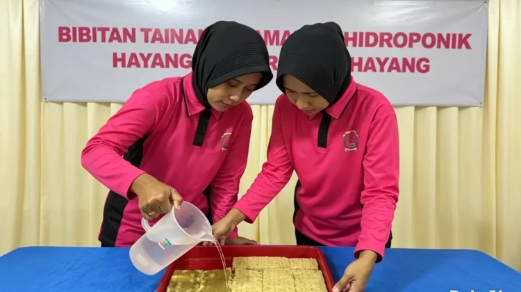 Bhayangkari Polsek KP Dumai Tabur Benih Pakcoy Hidroponik