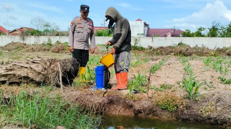 Cek Jagung di Lahan Pertamina, Polisi Kawal Ketahanan Pangan