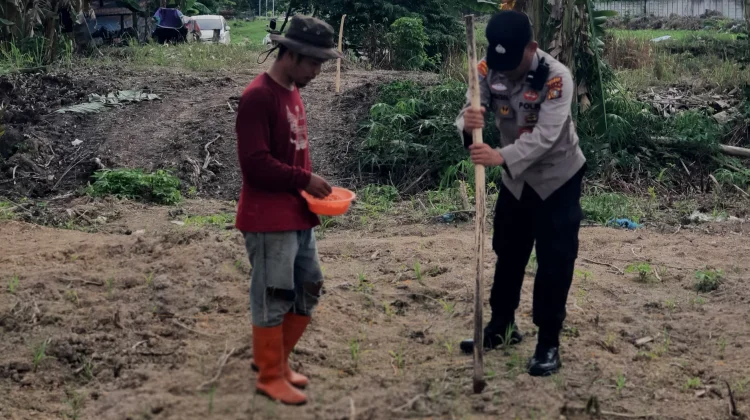 Polsek Kawasan Pelabuhan Cek Lahan Jagung Dukung Ketahanan Pangan