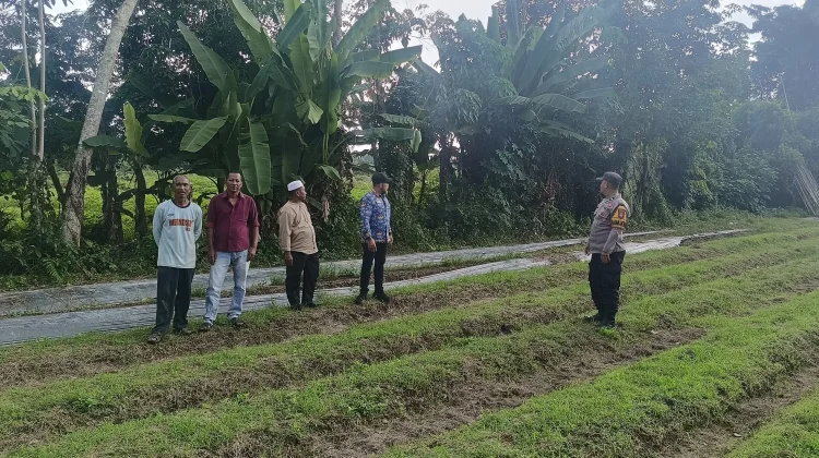 Polsek Bengkalis dan Pemdes Sulap Lahan Tidur Jadi Produktif