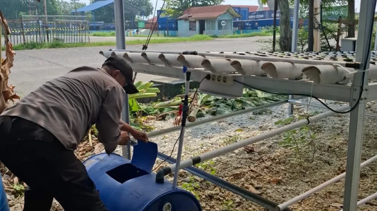 Polsek Kawasan Pelabuhan Kembangkan 260 Bibit Hidroponik