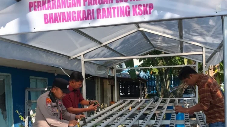 Polsek Kawasan Pelabuhan Rawat 260 Bibit Hidroponik