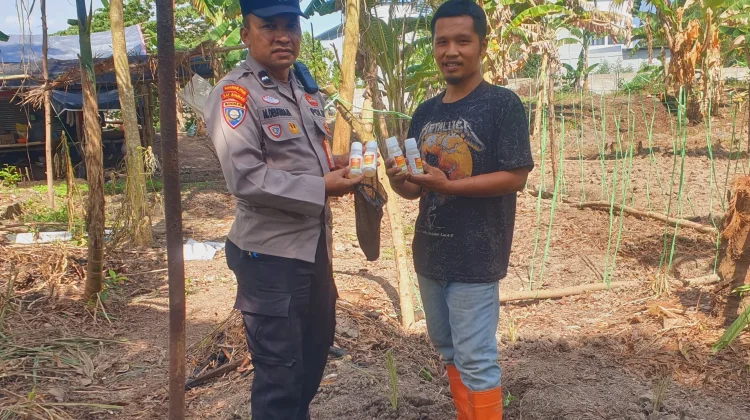Polsek Kawasan Pelabuhan Dumai Pantau Tanaman Jagung 1,1 Hektare