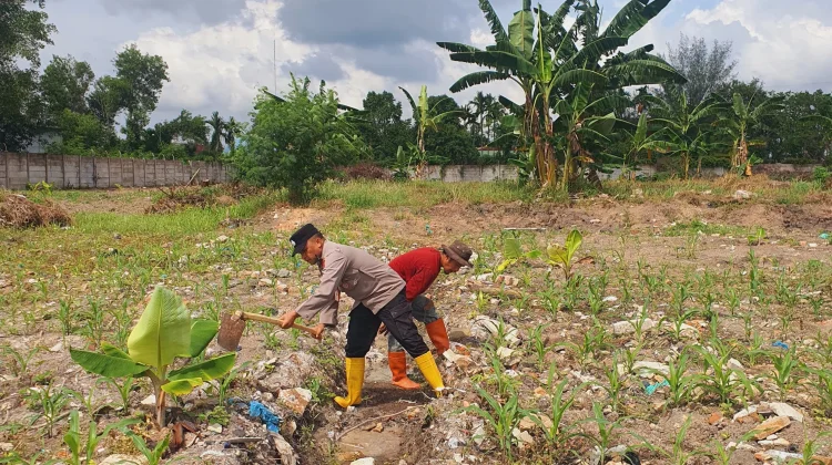 Polsek Pelabuhan Dumai Cek Lahan Jagung dan Buatkan Tali Air Cegah Banjir
