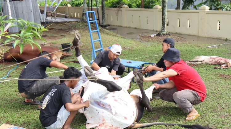 Hujan Guyur Bengkalis, Polres Tetap Sembelih 10 Hewan Kurban