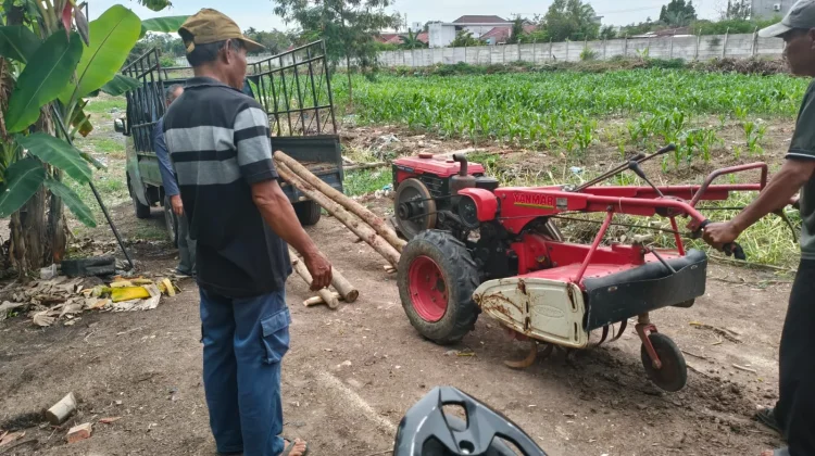 Polisi dan Kelompok Tani Cek Lahan Jagung di Dumai Barat