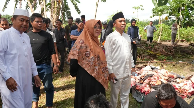 Bupati Siak Serahkan Sapi Kurban Bantuan Presiden Prabowo