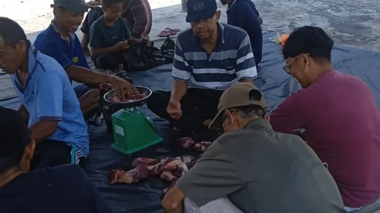 Semangat Kebersamaan Warnai Qurban Iduladha 1447 H di Masjid Raudhatul Ulum