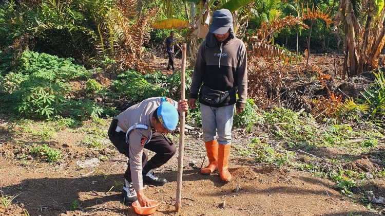 Polsek Kawasan Pelabuhan Cek Lahan Jagung Ketahanan Pangan