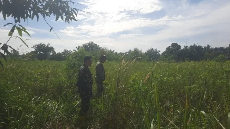 Babinsa Koramil 03/Mandau Intensif Patroli Cegah Karhutla