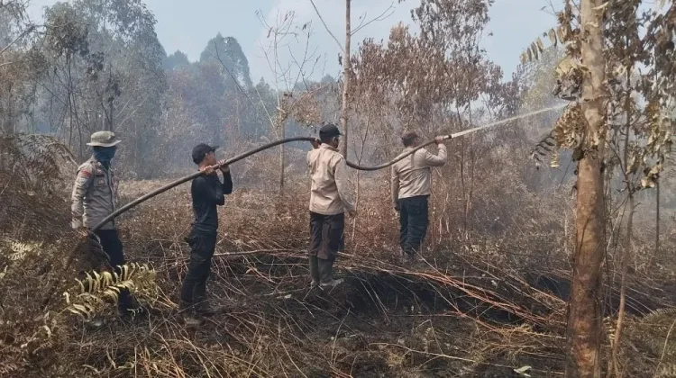 Manggala Agni Intensif Padamkan Karhutla di Dua Wilayah