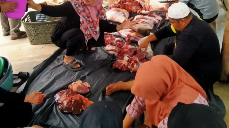 Semarak Iduladha, MA Al-Huda Bengkalis Laksanakan Penyembelihan Hewan Kurban