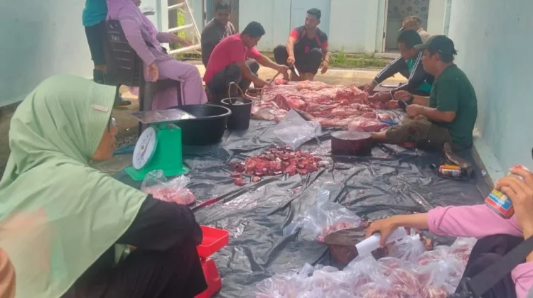 MTsN 3 Bengkalis Sembelih 1 Ekor Sapi dan 4 Ekor Kambing Kurban Iduladha 1447 H