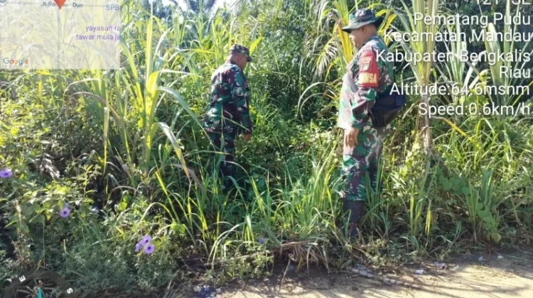 Babinsa 03/Mandau Patroli Cegah Munculnya Titik Api Karhutla