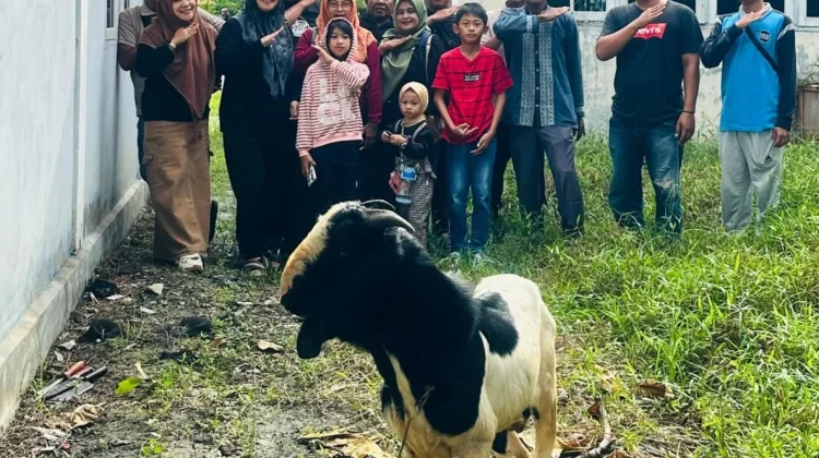 Pelaksanaan Kurban Pedana di RRI SP Bengkalis Penuh Makna dan Kebersamaan