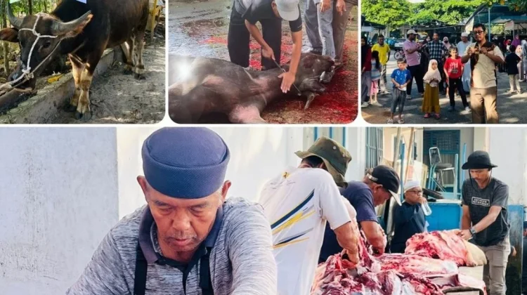 Ponpes Daarun Nahdhah Thawalib Bangkinang Sembelih Enam Kerbau Qurban