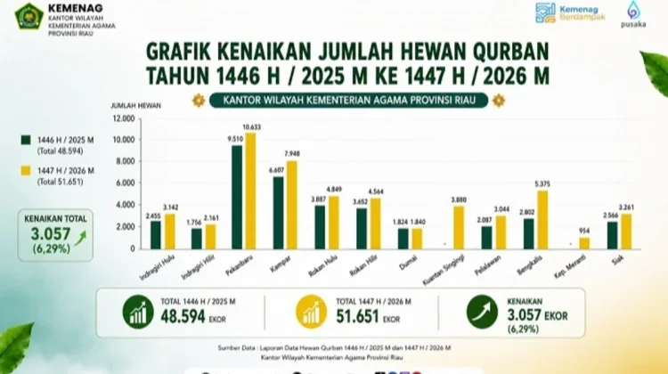 Jumlah Hewan Kurban di Riau Meningkat 6,29 Persen pada Iduladha 1447 H