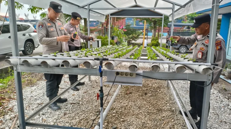 Polsek Kawasan Pelabuhan Rawat Bibit Hidroponik Pakcoy