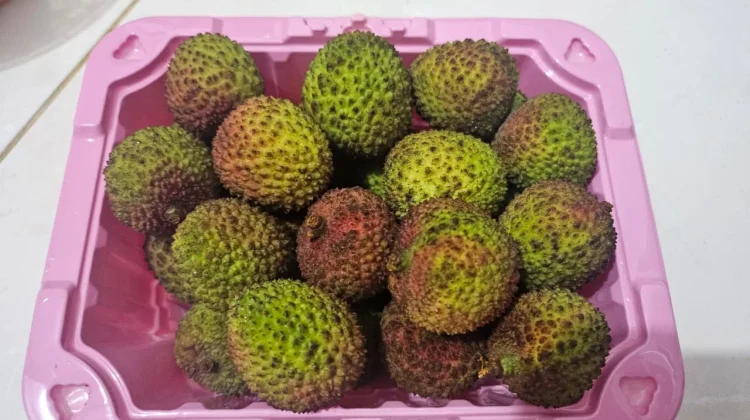 Manis dan Segar, Ini Manfaat Buah Leci untuk Kesehatan