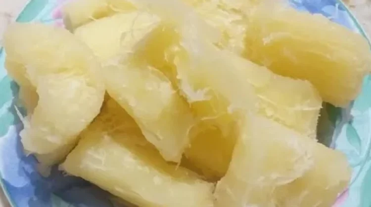 Manfaat Singkong Rebus: Sumber Energi Alami yang Kaya Nutrisi