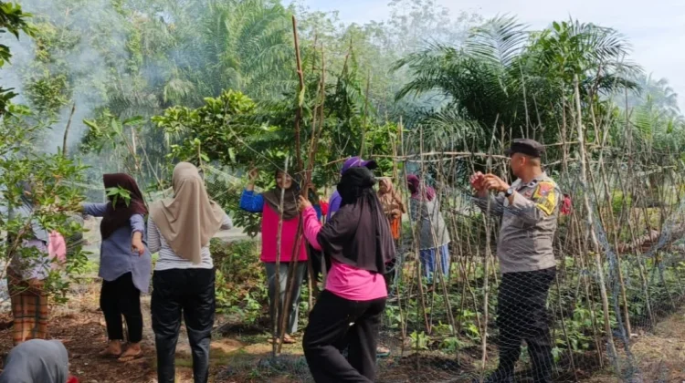 Polisi Turun ke Kebun, PKK Bantan Timur Tanam Kacang Panjang