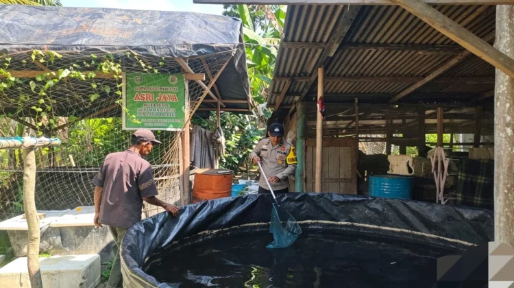 Polisi Dorong Budidaya Lele, Warga Pasiran Diajak Mandiri