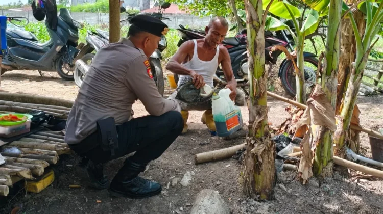 Polsek Pelabuhan Kawal Pertumbuhan Jagung di Lahan Pertamina