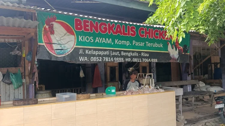 Harga Ayam Potong Turun, Daya Beli Warga Masih Lesu