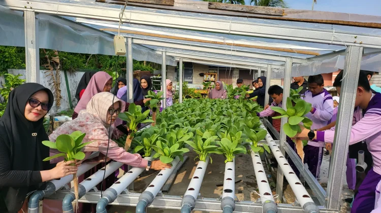 Wali Murid Apresiasi Program Hidroponik SLB Negeri Bengkalis