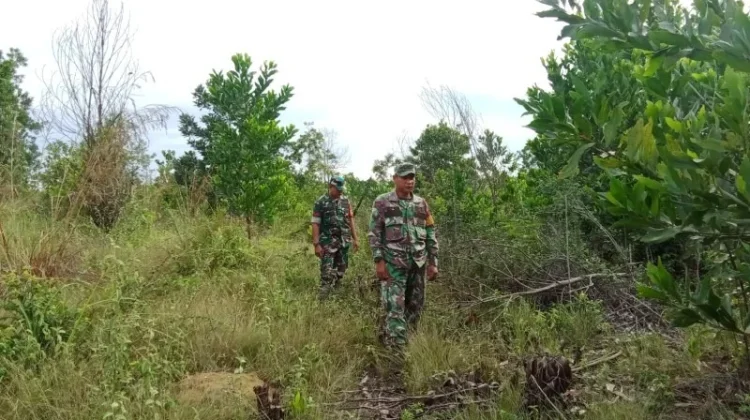 Babinsa Sertu Awaluddin dan Koptu Ade Kurniawan Patroli Cegah Karhutla