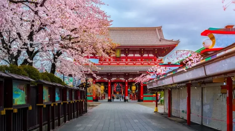 Mulai 1 Juli 2026, Wisatawan yang Tinggalkan Jepang Dikenakan Pajak Keberangkatan