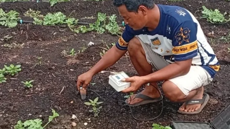 Harga Pupuk NPK Naik 20 Persen, Petani Milenial Desak adakan Pupuk Bersubsidi
