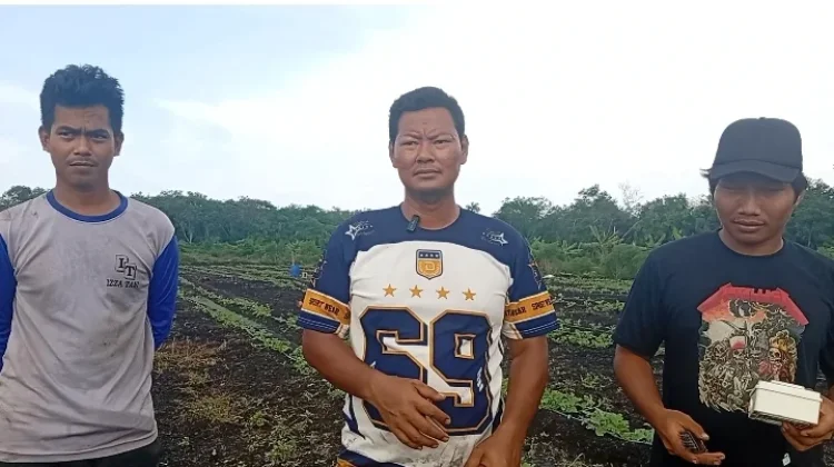 Petani Milenial Sulap Lahan Gambut Jadi Lumbung Sayur dengan Teknologi