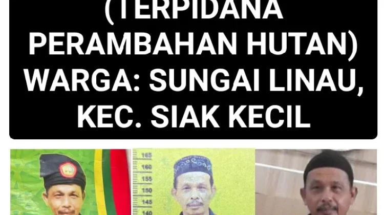 Kejari Bengkalis Buru Tiga Terpidana Perambah Hutan