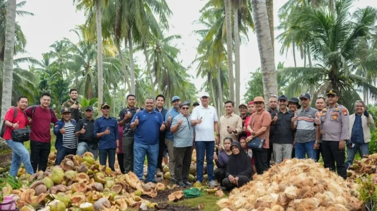 Wabup Meranti Tinjau Potensi Kelapa Unggulan Kecamatan Rangsang